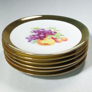 Set Of 6 Wall Plate Vintage Assorted Fruit Gold Rim Saucer